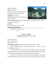 Kelionės organizavimas po Norvegiją 20 puslapis