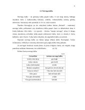 Kelionės organizavimas po Norvegiją 5 puslapis