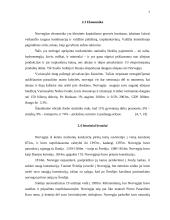 Kelionės organizavimas po Norvegiją 6 puslapis