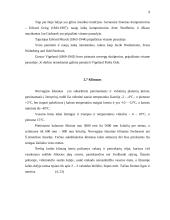 Kelionės organizavimas po Norvegiją 8 puslapis