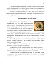 Kelionės organizavimas po Norvegiją 10 puslapis