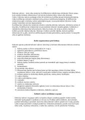 Kelionės vadovas 2 puslapis