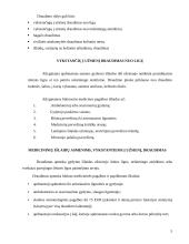 Kelionių draudimas ir kelionių draudimo sutartis 4 puslapis