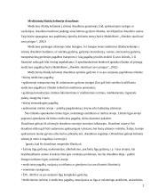 Kelionių draudimo paslaugų analizė 2 puslapis