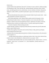 Kelionių draudimo paslaugų analizė 3 puslapis