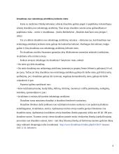 Kelionių draudimo paslaugų analizė 4 puslapis