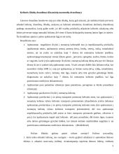 Kelionių draudimo paslaugų analizė 5 puslapis