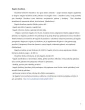 Kelionių draudimo paslaugų analizė 7 puslapis