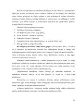 Kelionių vadovas 12 puslapis