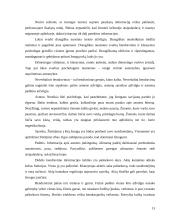 Kelionių vadovas 13 puslapis