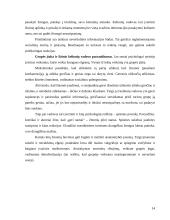 Kelionių vadovas 14 puslapis