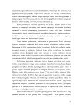 Kelių dangos, priežiūra ir remontai 12 puslapis