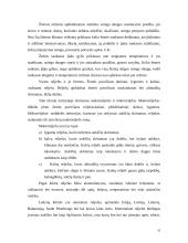 Kelių dangos, priežiūra ir remontai 16 puslapis