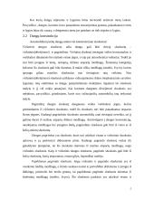 Kelių dangos, priežiūra ir remontai 5 puslapis