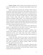 Kelių dangos, priežiūra ir remontai 10 puslapis