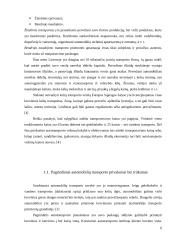 Kelių transportas Lietuvoje 4 puslapis