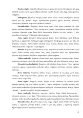 Kenksmingos medžiagos ir jų klasifikavimas 10 puslapis