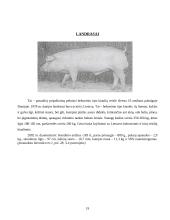Kiaulių genetiniai ištekliai Lietuvoje ir pasaulyje 19 puslapis
