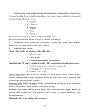 Kiaulių genetiniai ištekliai Lietuvoje ir pasaulyje 10 puslapis