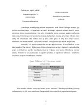 Klasikinės motyvavimo teorijos 11 puslapis