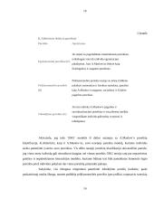 Klasikinės motyvavimo teorijos 15 puslapis