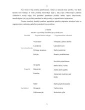 Klasikinės motyvavimo teorijos 4 puslapis