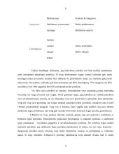 Klasikinės motyvavimo teorijos 5 puslapis