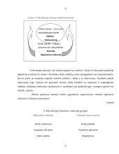 Klasikinės motyvavimo teorijos 10 puslapis