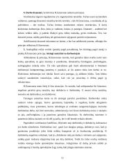 Klasikinės vadybos mokyklos apžvalga ir jos atstovai 12 puslapis