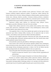 Klientų aptarnavimas, pagrindinės savybės ir reikšmė logistikoje 6 puslapis