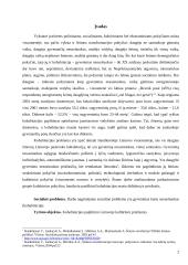 Kohabitacijos paplitimo Lietuvoje kultūrinės priežastys 2 puslapis