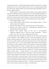 Kolektyvinės saugos priemonės 12 puslapis