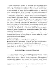 Kolektyvinės saugos priemonės 13 puslapis