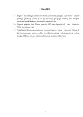 Kolektyvinės saugos priemonės 17 puslapis