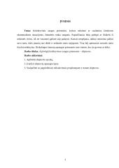 Kolektyvinės saugos priemonės 3 puslapis