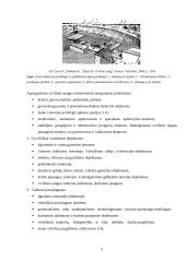 Kolektyvinės saugos priemonės 5 puslapis