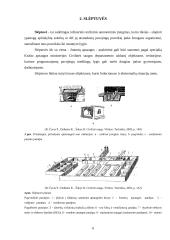 Kolektyvinės saugos priemonės 6 puslapis