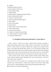 Kolektyvinės saugos priemonės 10 puslapis