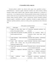 Komandinio ir projektinio darbo principai 2 puslapis