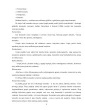 Komandinio ir projektinio darbo principai 4 puslapis