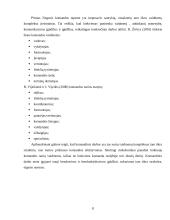 Komandinio ir projektinio darbo principai 6 puslapis