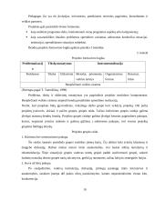 Komandinio ir projektinio darbo principai 8 puslapis
