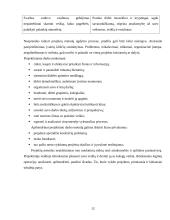 Komandinio ir projektinio darbo principai 10 puslapis