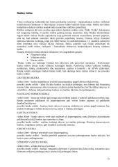 Komerciniai bankai Lietuvoje 15 puslapis