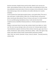 Komerciniai bankai Lietuvoje 18 puslapis