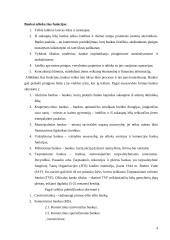 Komerciniai bankai Lietuvoje 4 puslapis