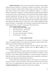 Komerciniai ir valstybiniai bankai, jų teikiamos paslaugos 11 puslapis