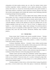 Komerciniai ir valstybiniai bankai, jų teikiamos paslaugos 13 puslapis