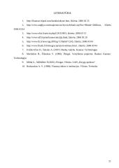 Komerciniai ir valstybiniai bankai, jų teikiamos paslaugos 19 puslapis