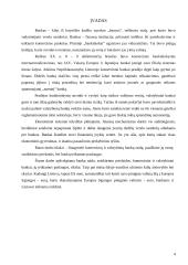 Komerciniai ir valstybiniai bankai, jų teikiamos paslaugos 2 puslapis